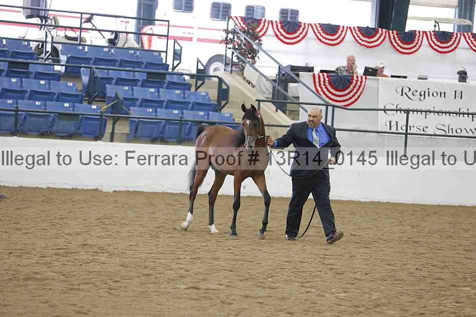 Proof 13r14_0145