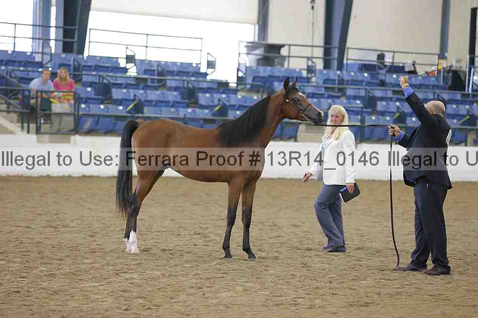 Proof 13r14_0146