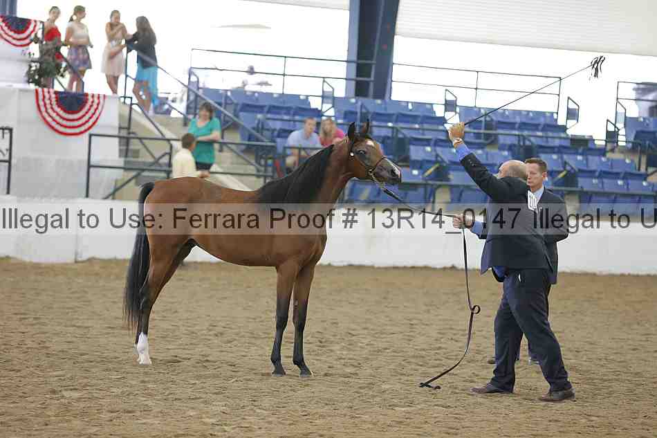 Proof 13r14_0147