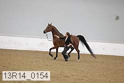 13r14_0154 proof