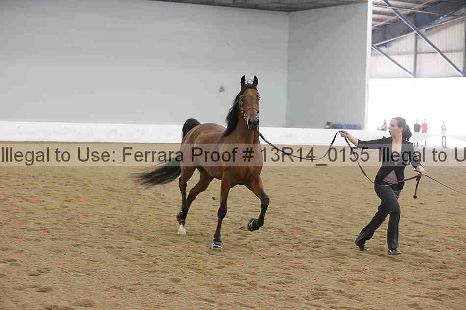 Proof 13r14_0155