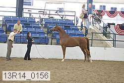 13r14_0156 proof