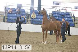13r14_0158 proof