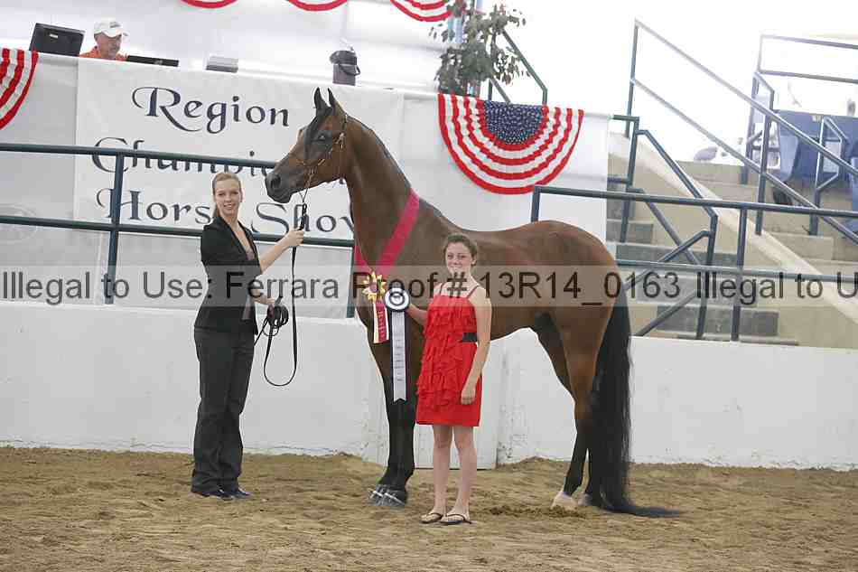 Proof 13r14_0163