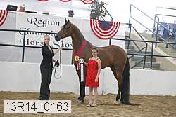 13r14_0163 proof