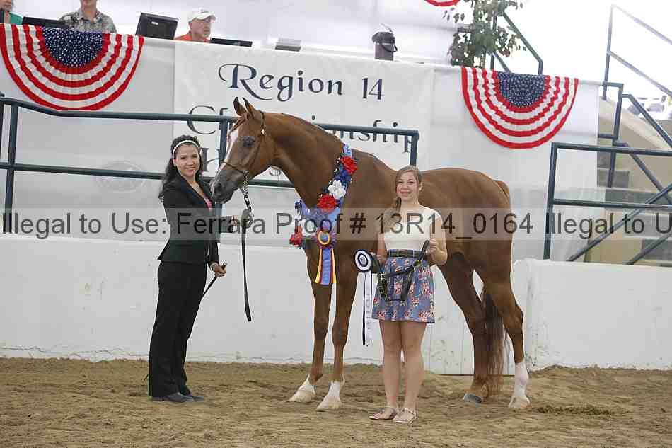 Proof 13r14_0164
