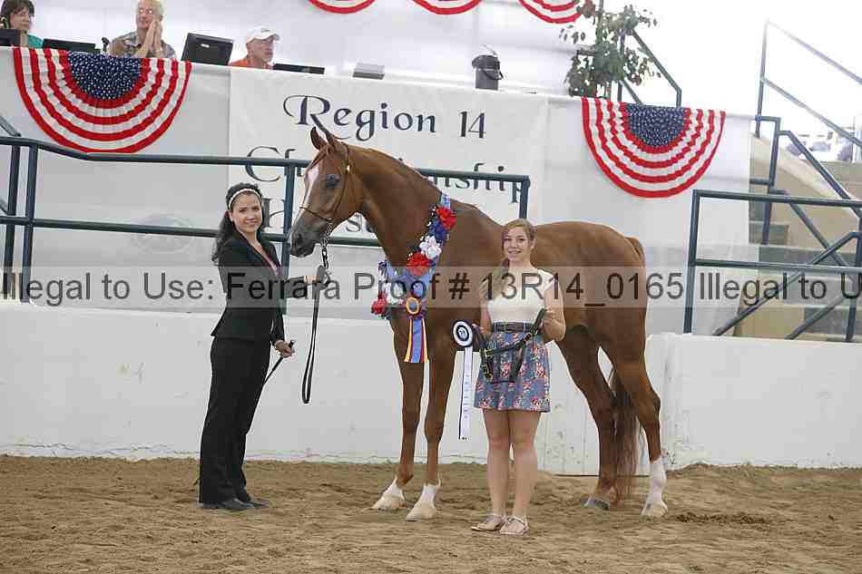 Proof 13r14_0165