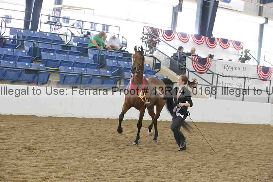 Proof 13r14_0168