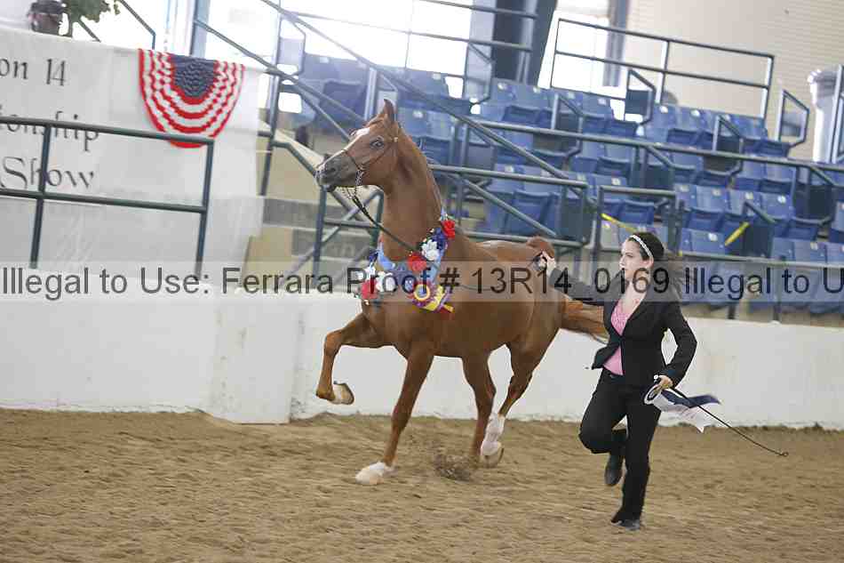 Proof 13r14_0169