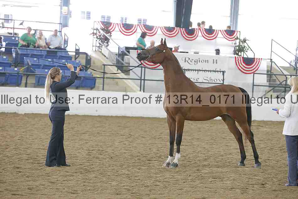 Proof 13r14_0171