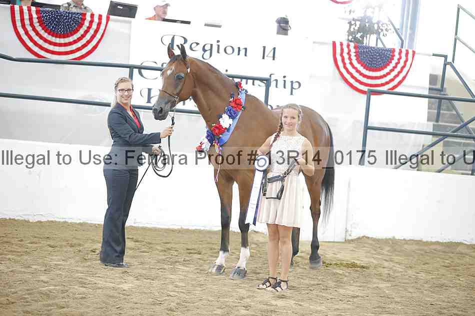 Proof 13r14_0175