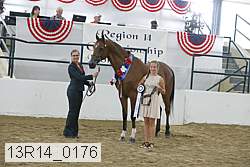 13r14_0176 proof