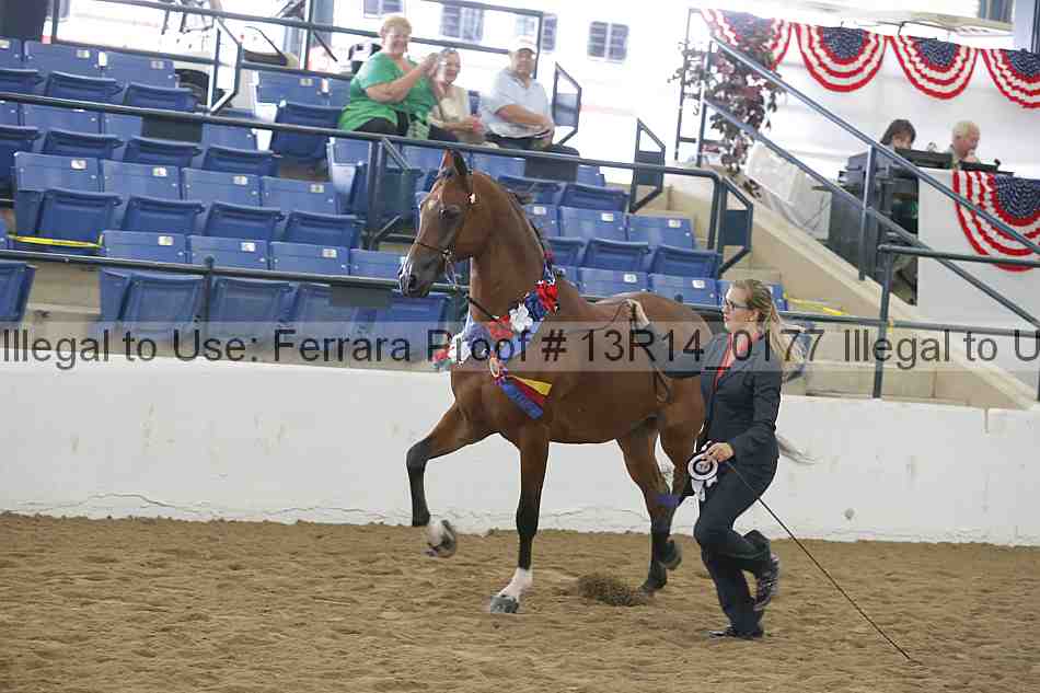 Proof 13r14_0177