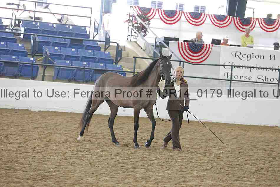Proof 13r14_0179