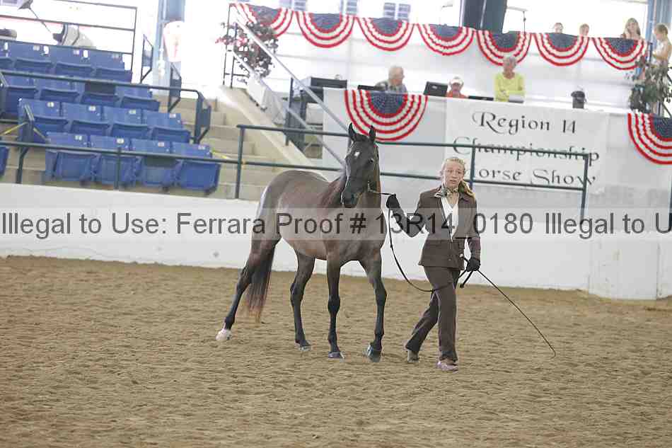 Proof 13r14_0180