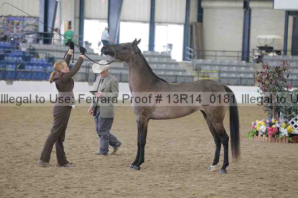 Proof 13r14_0181