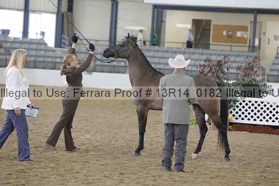 Proof 13r14_0182