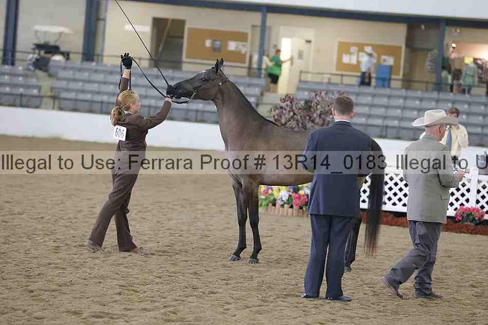 Proof 13r14_0183