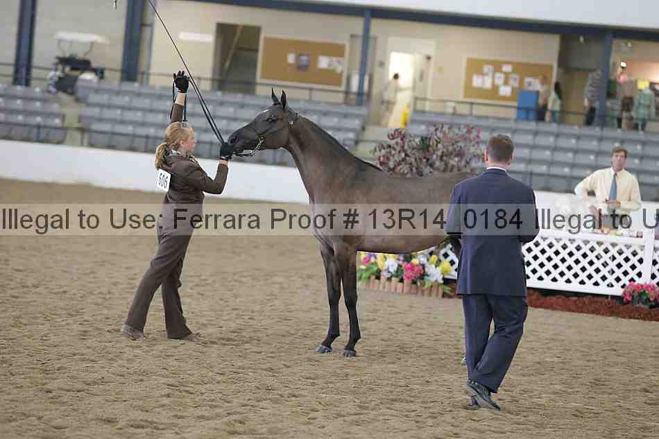 Proof 13r14_0184