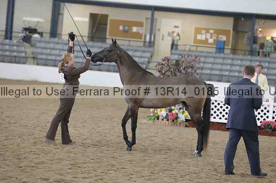 Proof 13r14_0185