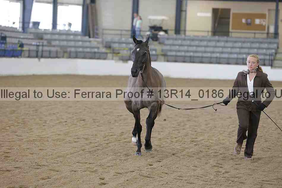 Proof 13r14_0186