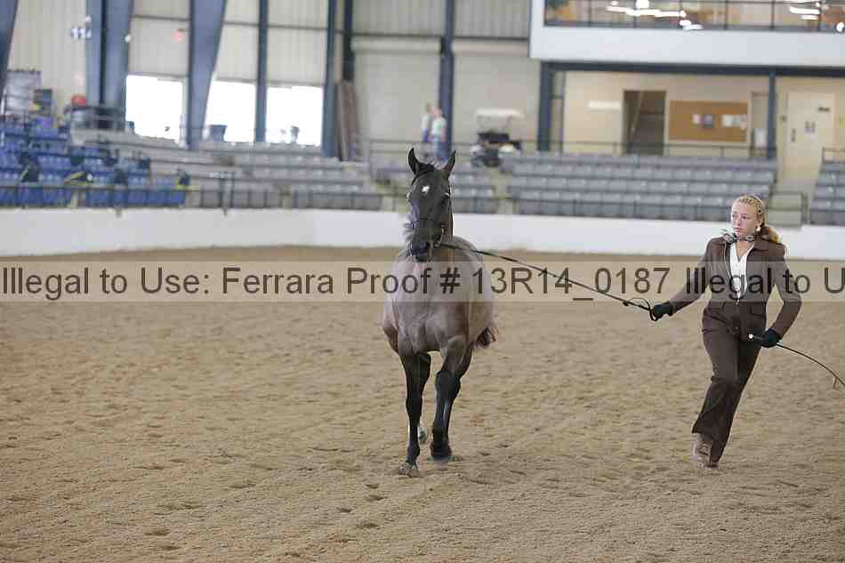 Proof 13r14_0187