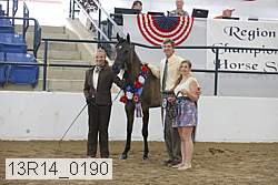 13r14_0190 proof