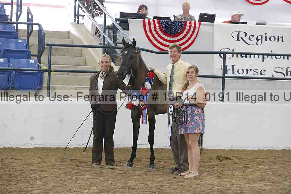 Proof 13r14_0191