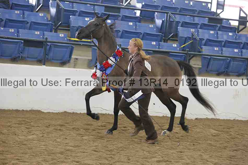 Proof 13r14_0192