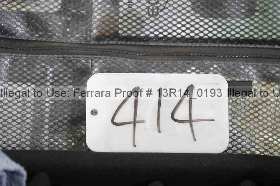 Proof 13r14_0193
