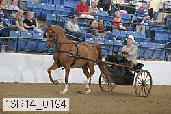 13r14_0194 proof