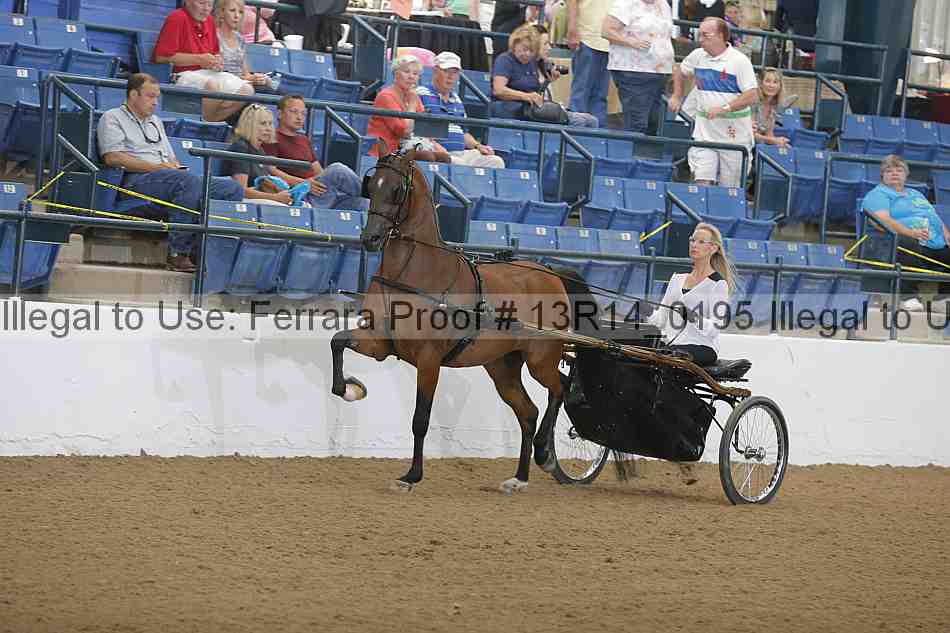 Proof 13r14_0195