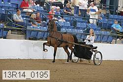 13r14_0195 proof