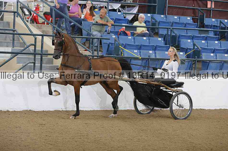 Proof 13r14_0197