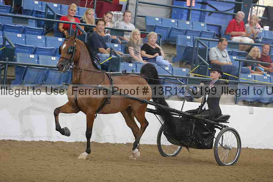 Proof 13r14_0199