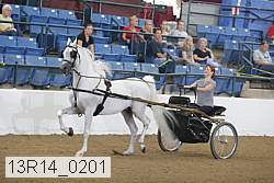 13r14_0201 proof