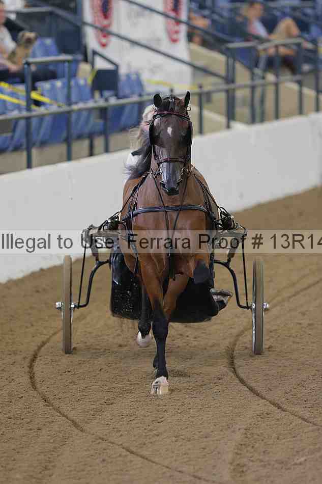 Proof 13r14_0205