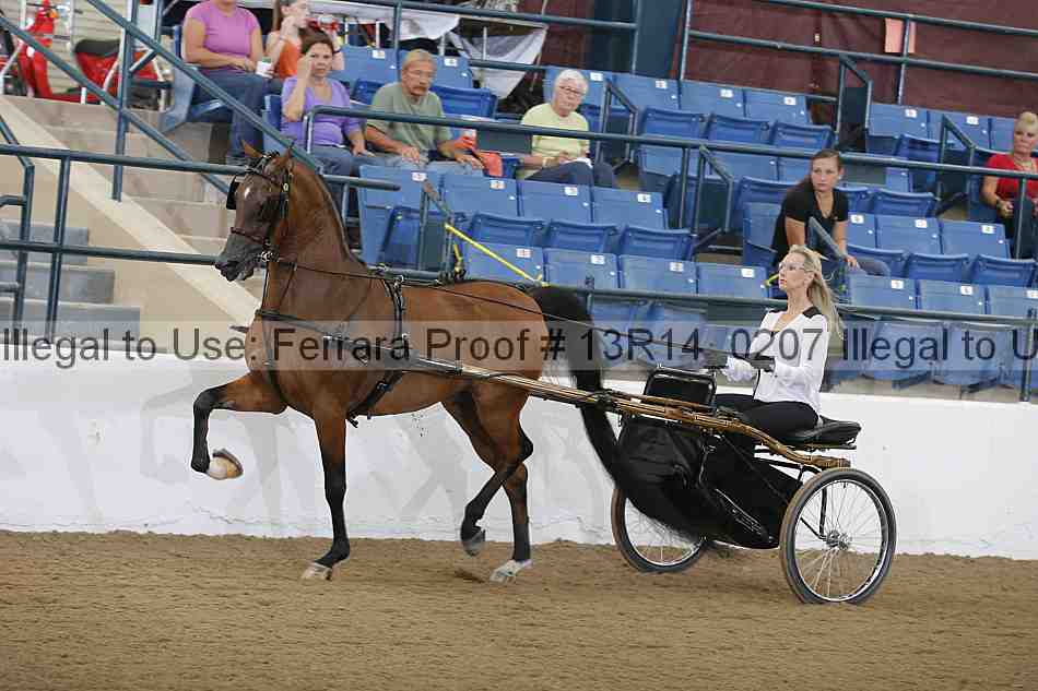 Proof 13r14_0207