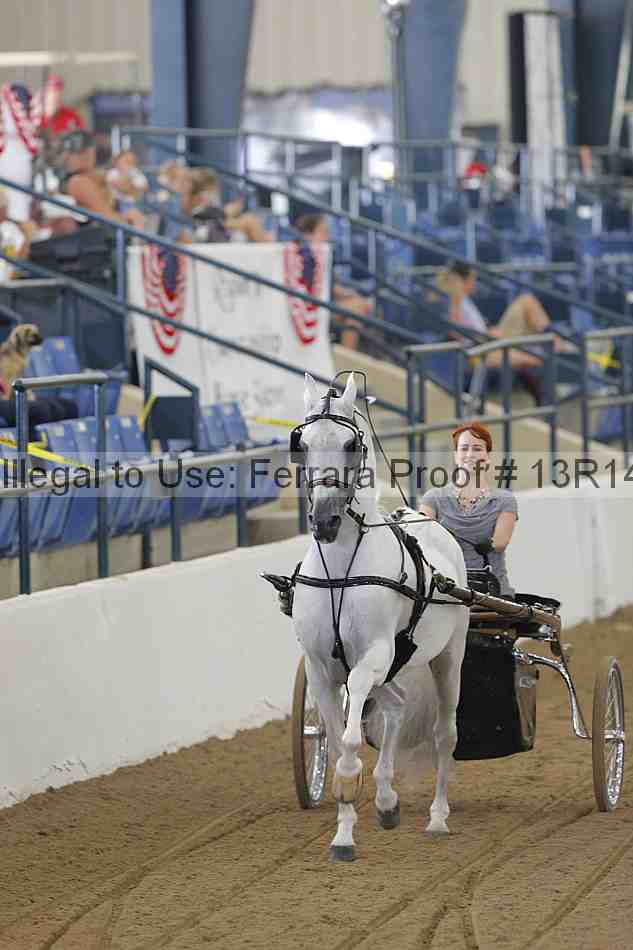 Proof 13r14_0210