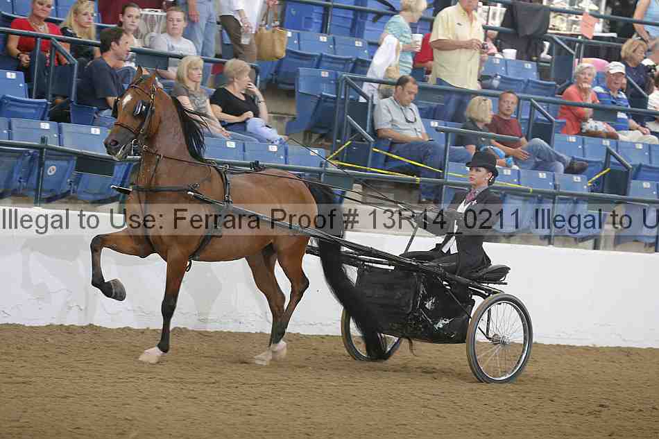 Proof 13r14_0211