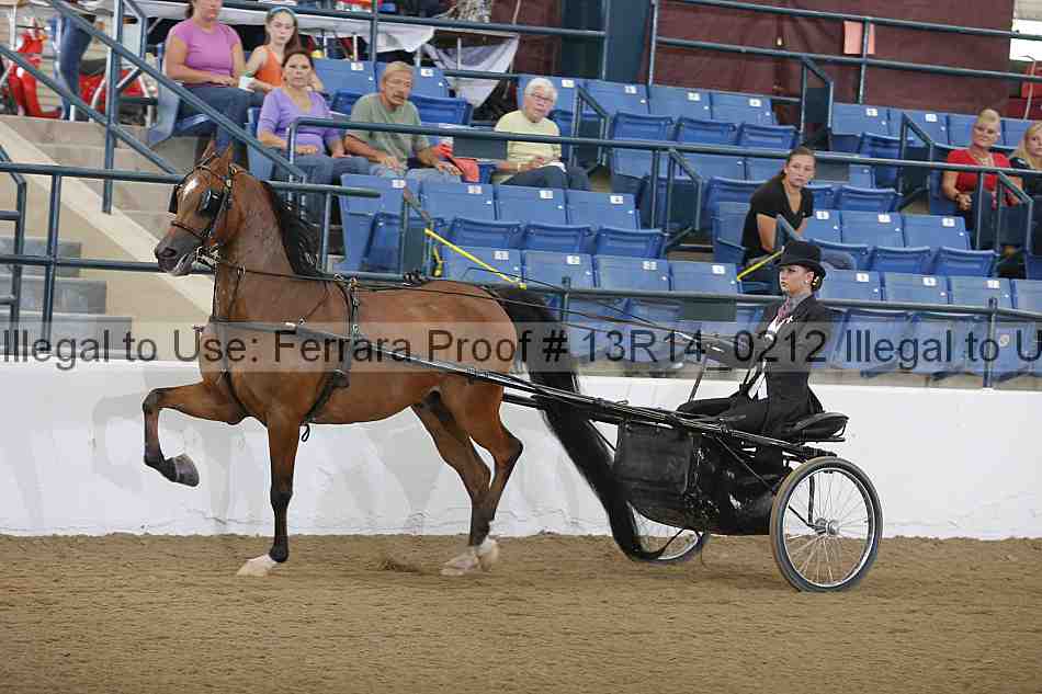 Proof 13r14_0212