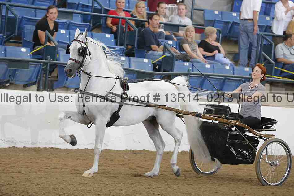 Proof 13r14_0213