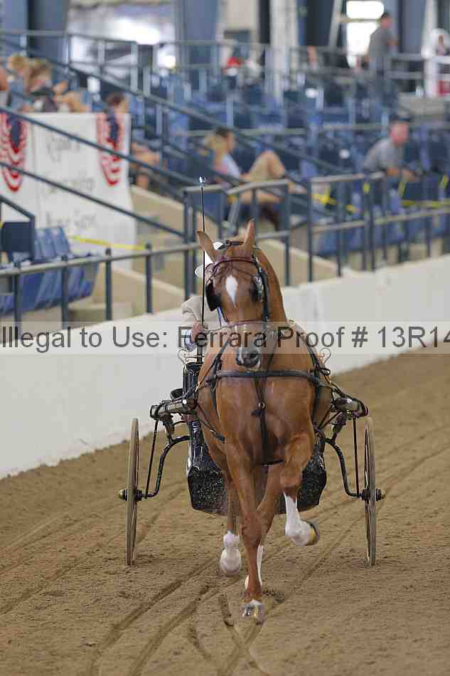 Proof 13r14_0214