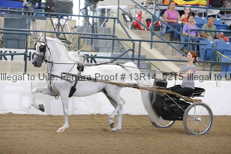 Proof 13r14_0215