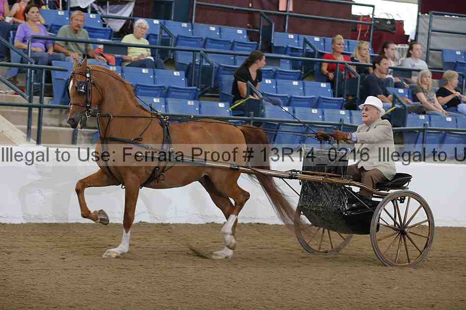 Proof 13r14_0216