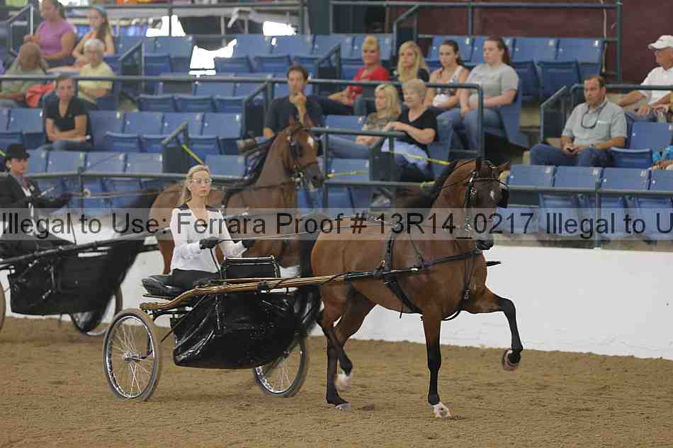 Proof 13r14_0217