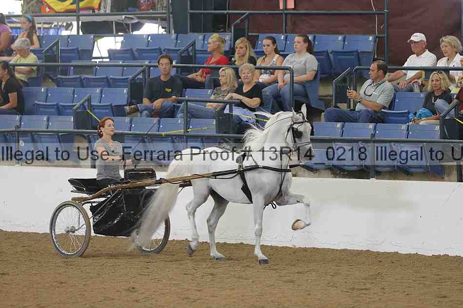 Proof 13r14_0218