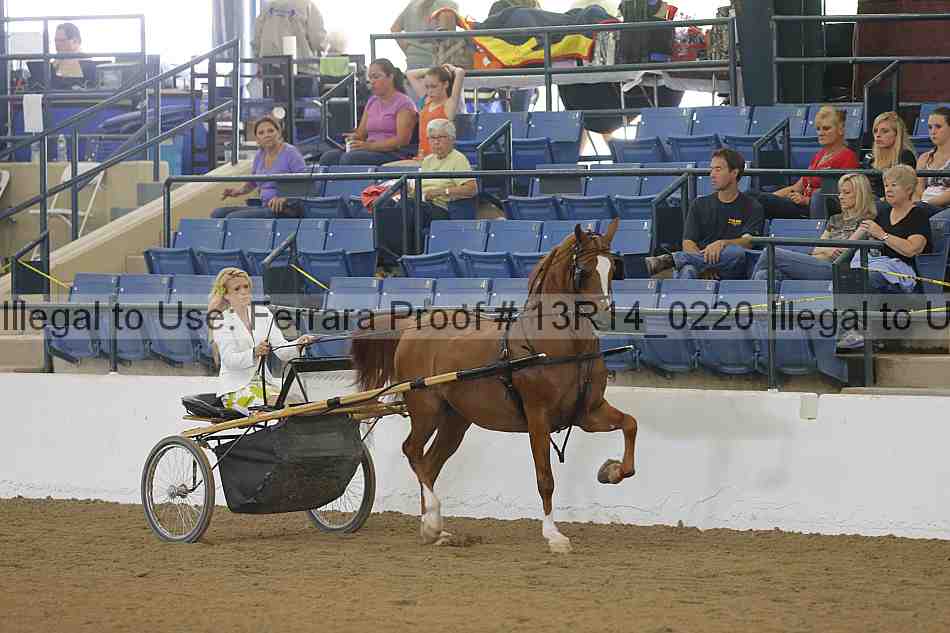 Proof 13r14_0220