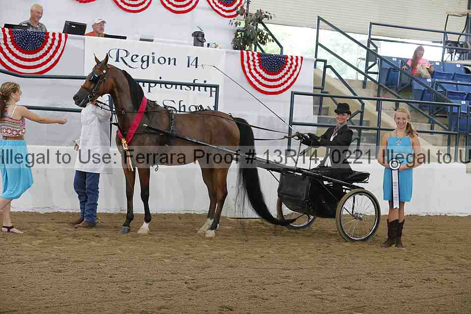 Proof 13r14_0221