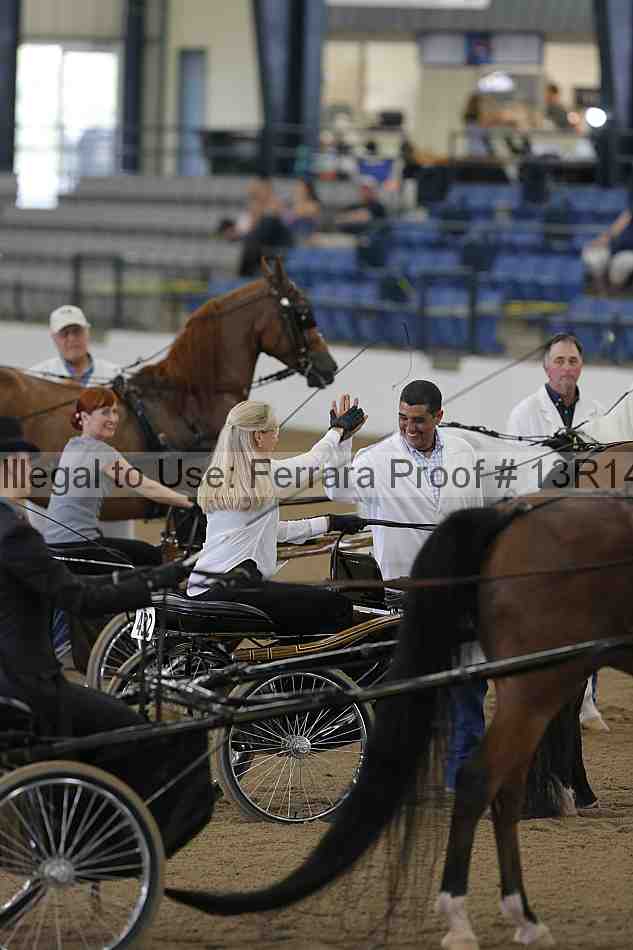 Proof 13r14_0225